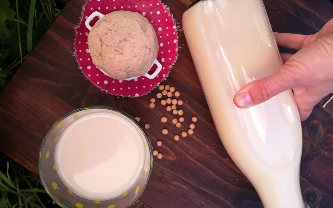 Latte di soia fatto a casa con chicci cotti