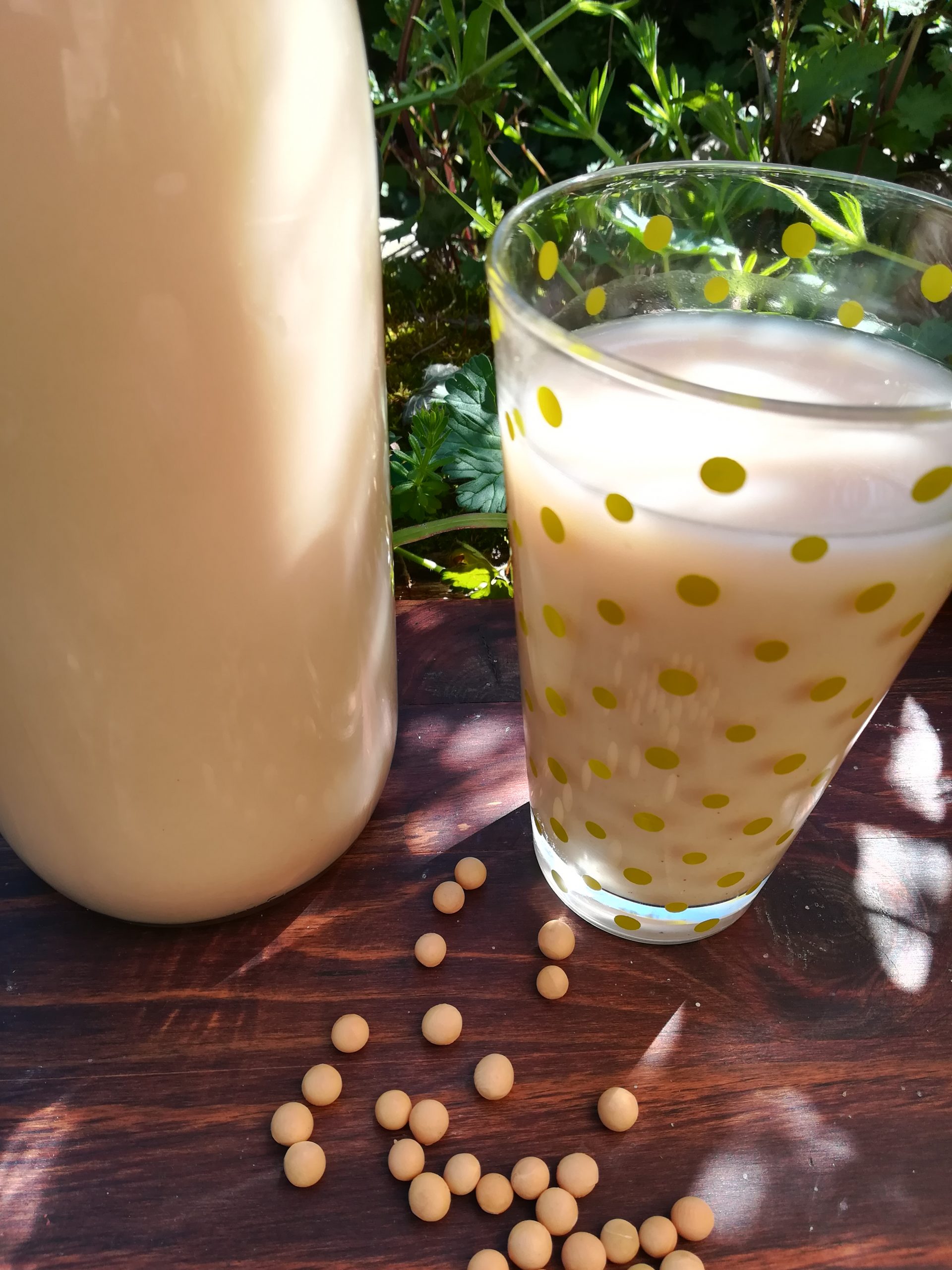Le lait de soja - Comment est-il fabriqué et de quelle manière l'utiliser  en cuisine ?