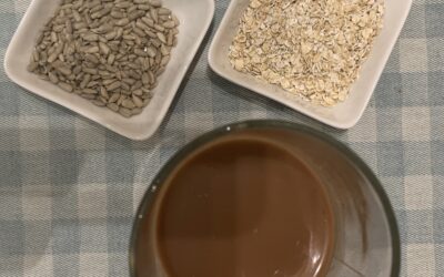 Homemade Low-Cost Protein Shake