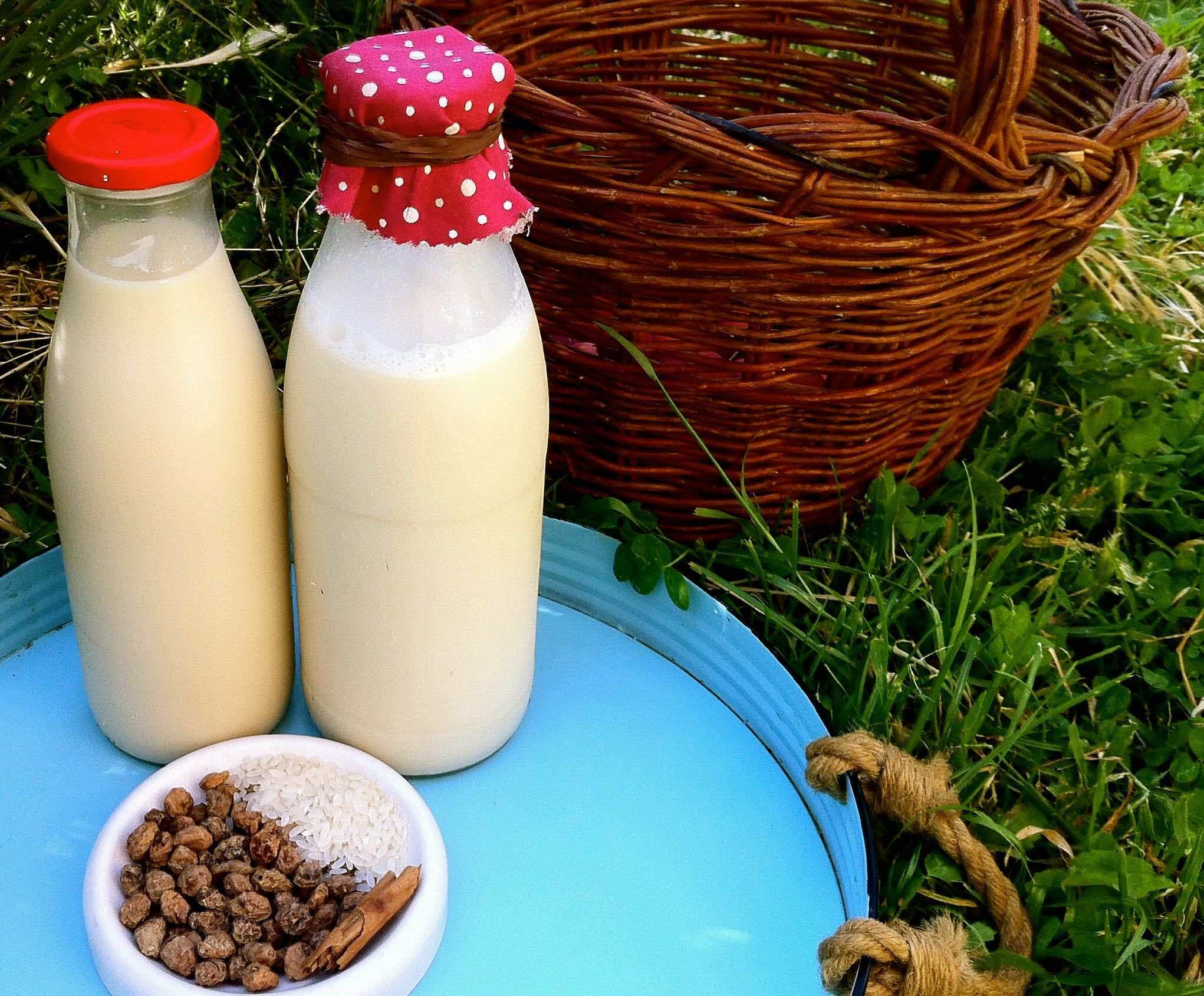 Como se hace la leche de almendras