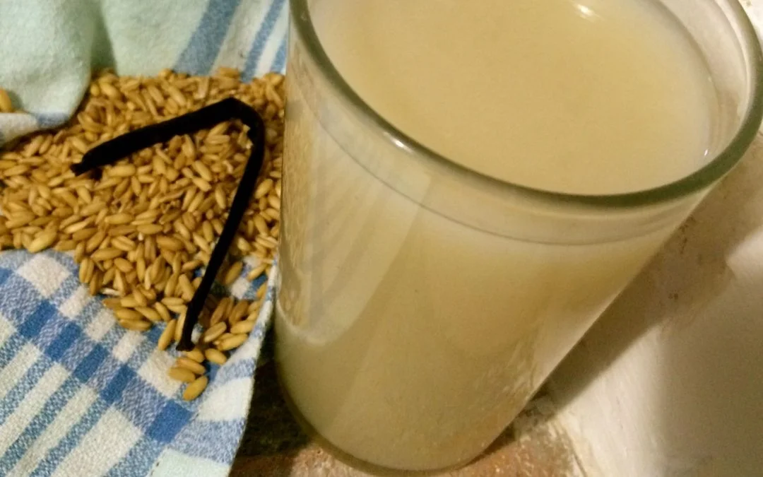 Raw Grain Oat Milk