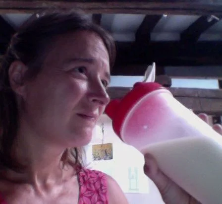 conservación de leches vegetales caseras
