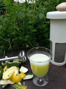 receta de jugo verde pepino limon con Vegan MIlker